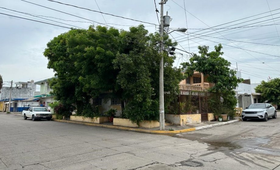 Jardín